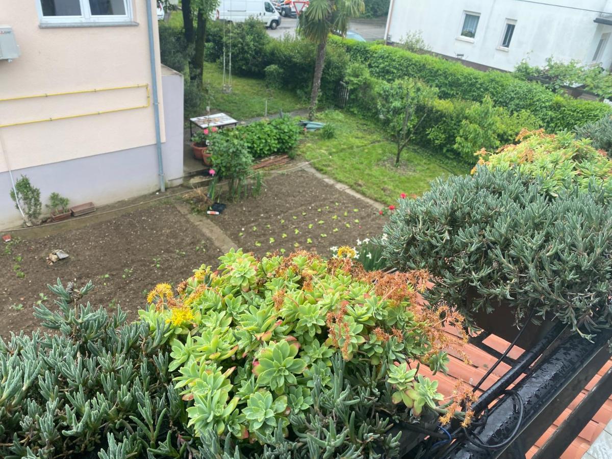 Apartma Magnolija Nova Gorica Dış mekan fotoğraf