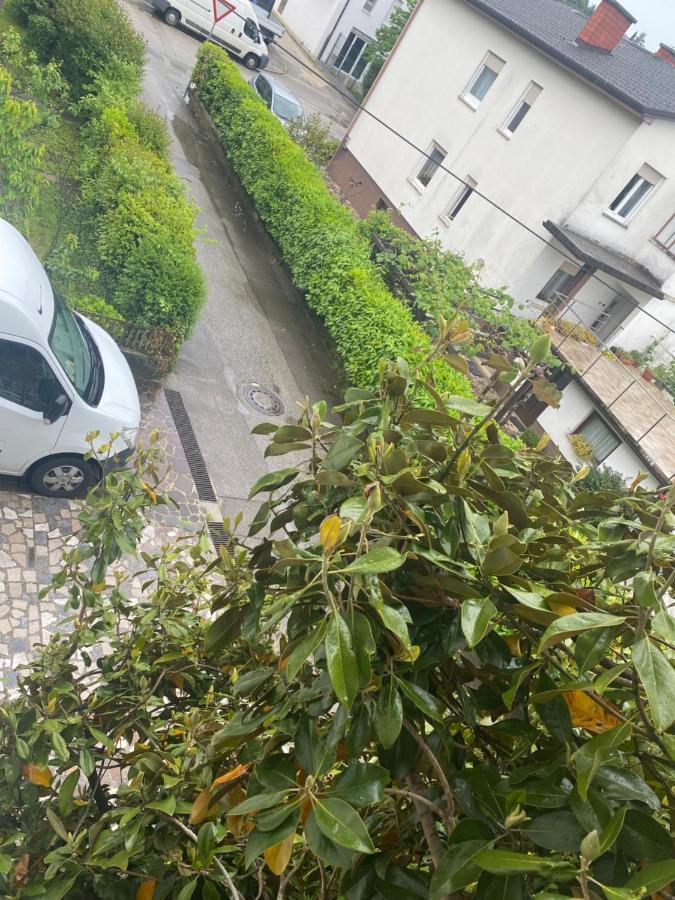 Apartma Magnolija Nova Gorica Dış mekan fotoğraf